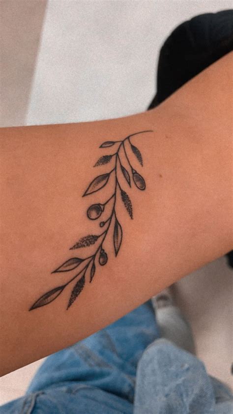tatuagem ramo de oliveira <b>alucs;052#&niM megautaT eD o;722#&;132#&acoloC </b>